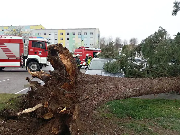 Мартовские рекорды: ураган с порывами до 134 км/ч пронёсся по Австрии, тысячи домов остались без света